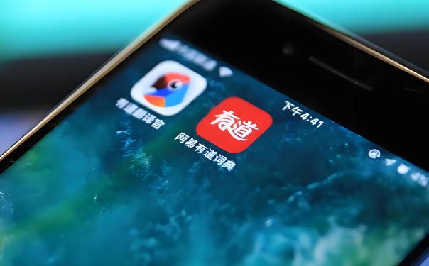 网易有道翻译能安装插件吗? 网易有道翻译能安装插件吗?