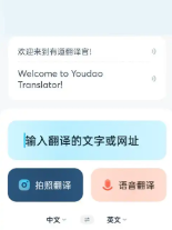 有道翻译商务翻译场景实用技巧