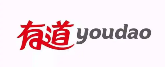 有道翻译软件支持哪些文件格式？