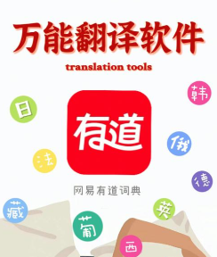 有道翻译软件是否支持双语对照？