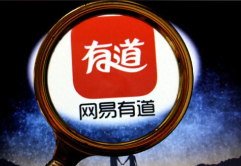 有道翻译支持医学术语翻译吗？