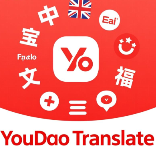 有道翻译可否导入文件？