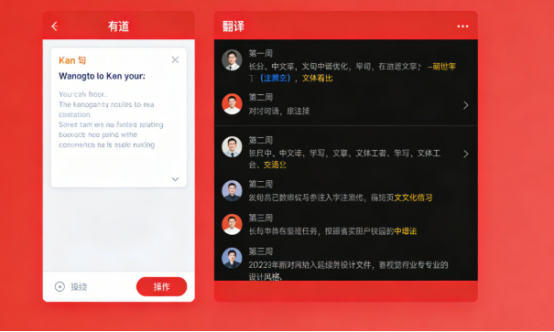 有道翻译支持专业技术翻译吗？